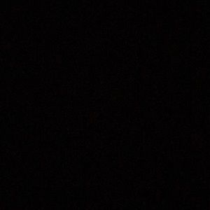 Meet your Posher, Jayla